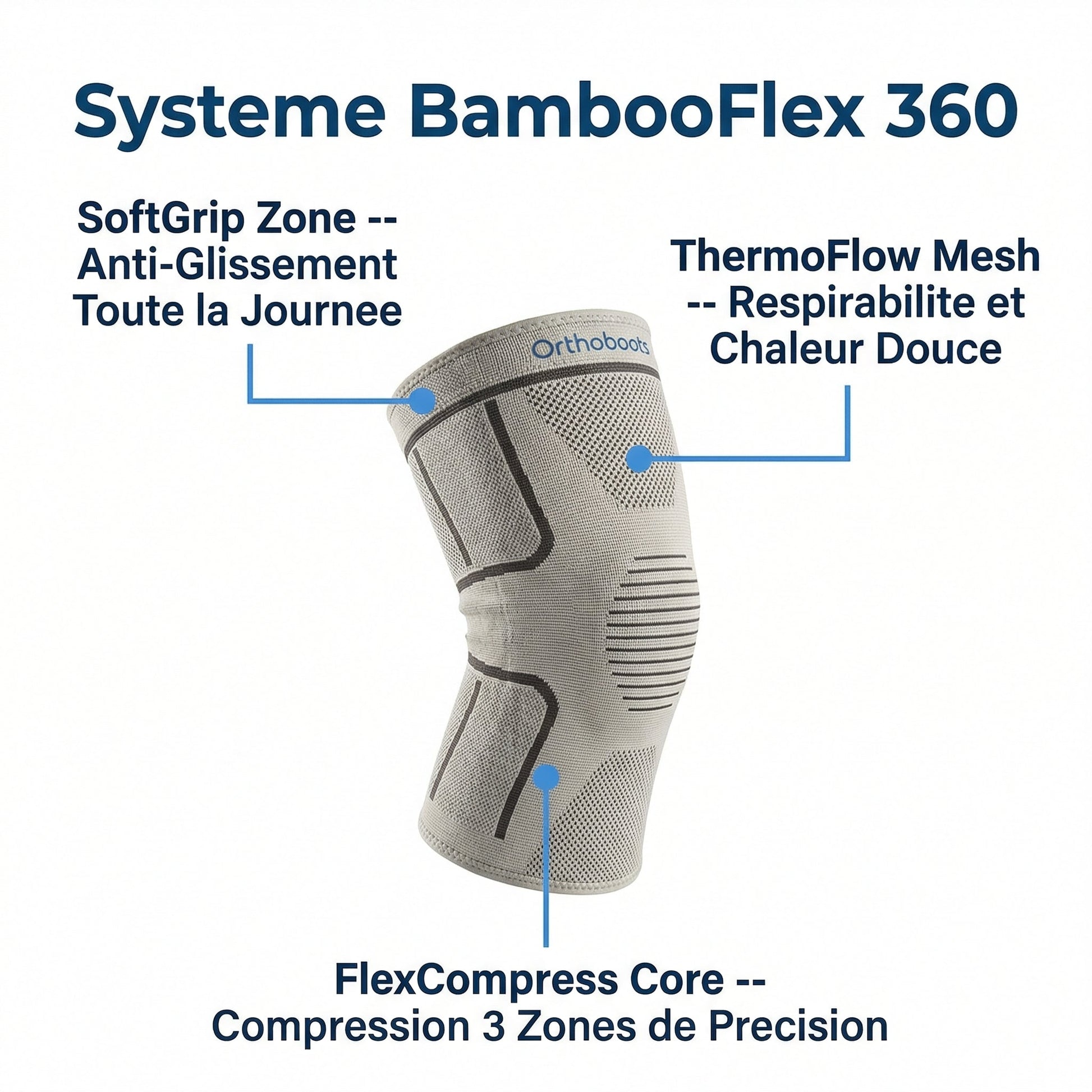 03 infographie bambooflex