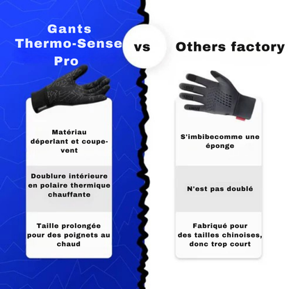 Thermo-Sense Pro | Winter thermo-tactile gloves
