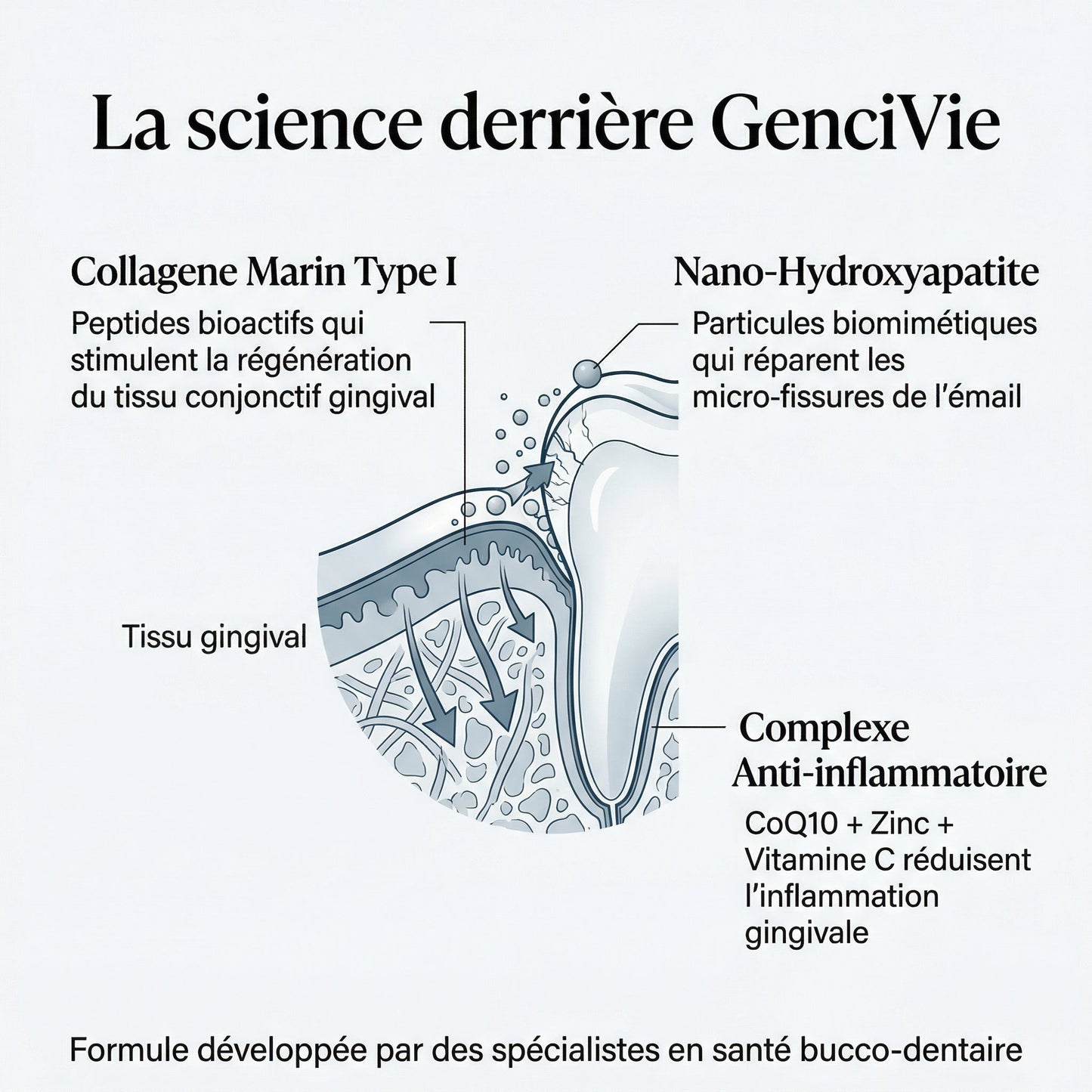 La science derriere GenciVie